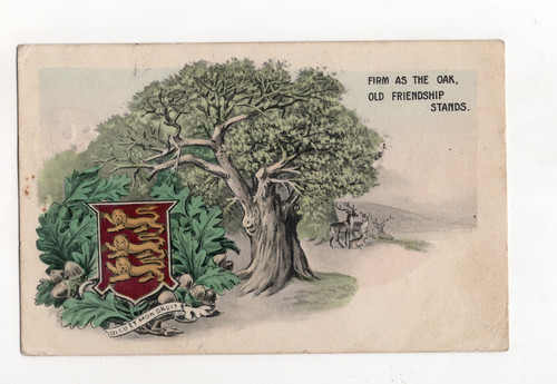 Kgv firm the oak - gb,