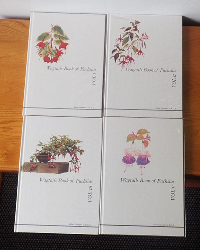 Book set wagtails - 4,