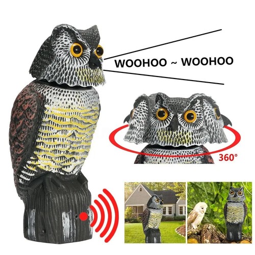 Owl decoy statue protect - decoy,