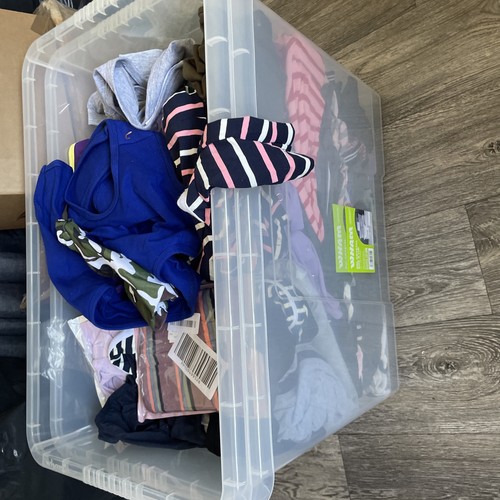 Joblot cat dog - cat,