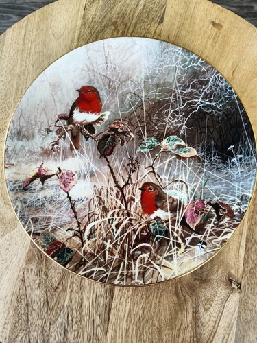 Coalport bone china robin - coalport, china-
