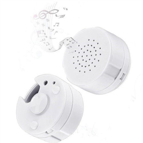 Second voice recorder music - voice,