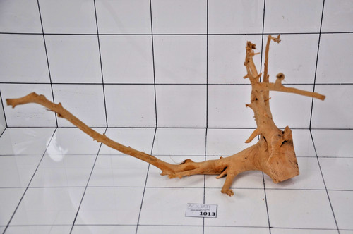 Premium aquarium natural wood - premium,
