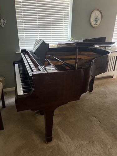 Yamaha grand piano - yamaha,