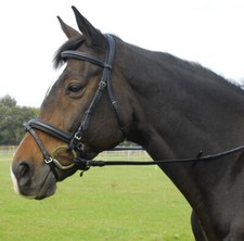 Heritage English Leather Comfort Bridle | Flash Nose | Black or Havana | 4 Sizes