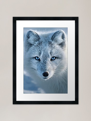 Snowy arctic fox with - arctic,