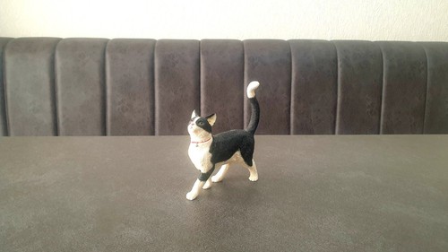 Black and white - black, cat