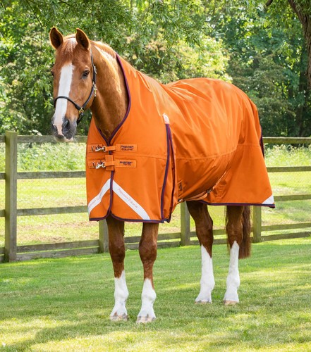 Premier equine buster hardy - premier,