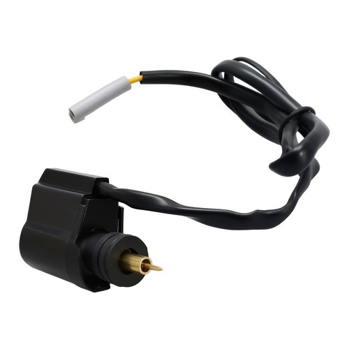 Carburetor enricher valve with - carburetor,