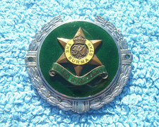 VINTAGE 1960s BURMA STAR ASSOCIATION CAR BADGE ~ FAR EAST PRISONER OF WAR EMBLEM
