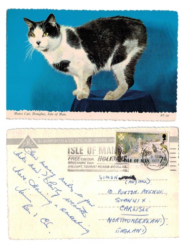 Postcard manx cat douglas - -,