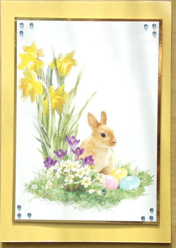 Spring easter flowers - spring,