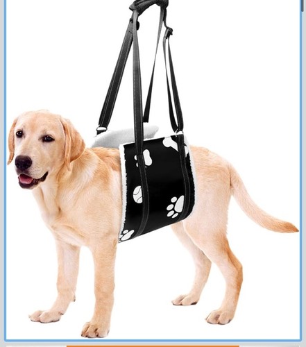 Dog lifting harness - dog,
