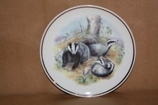 Vintage Collectable Plate -