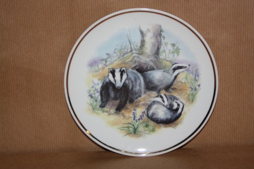 Vintage collectable plate - plate,