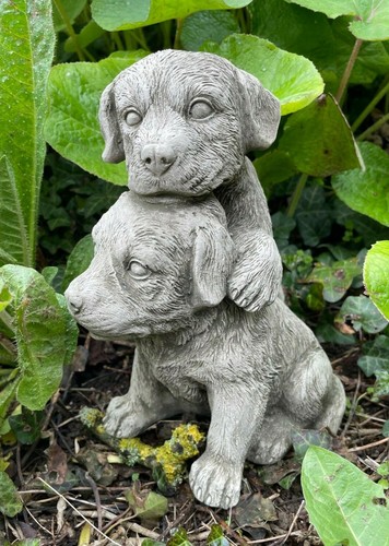 Pair puppies stone garden - pair,