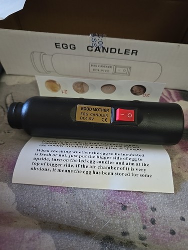 Good mother egg - egg, candler