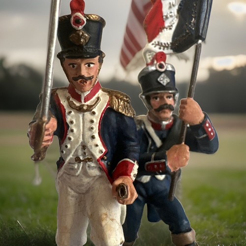 Napoleonic 54mm wm - napoleonic,