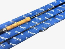 Daiwa Graphite Salmon Spinning Rod 10’ Two Piece Rod 10-40g Salmon Pike Bass ...