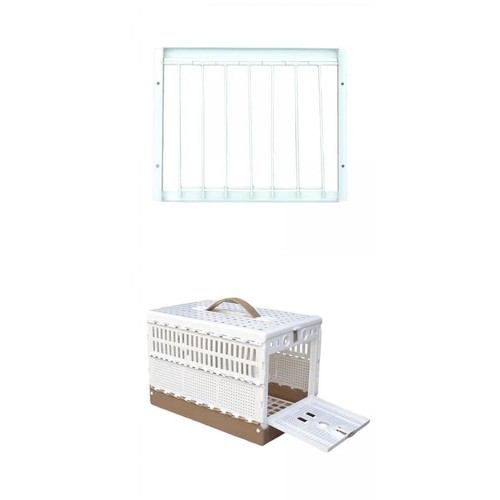 Pigeon cage breeding - breeding,