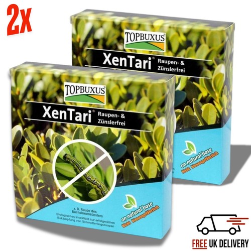 Topbuxus xentari boxwood - xentari,