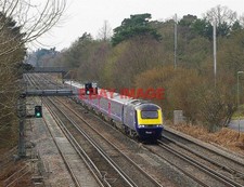 PHOTO  (6)  FIRST GREAT