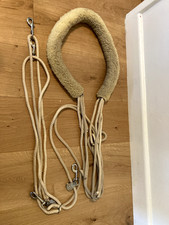 Horse Pessoa Style Lunging Training Aid System used 