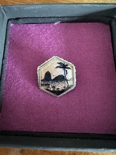 Vintage Butterfly Wing Tropical Scene Sterling Silver Hexagon Brooch