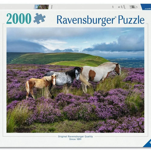 Puzzle 2000 wild horses - 2000, in