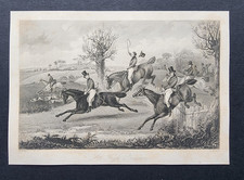 Antique 1844 Print - Fox