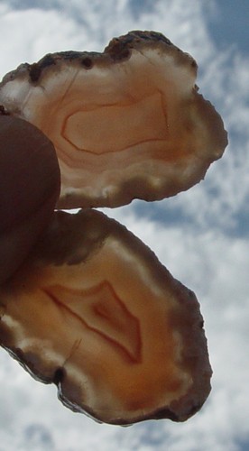 Swazi agate lapidary slabs - swazi,
