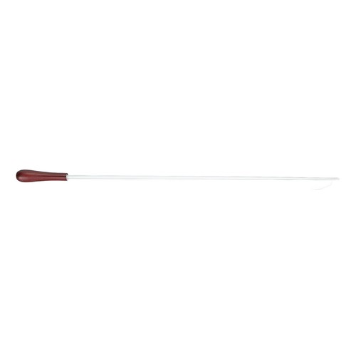 Orchestra conductor baton - conductor,