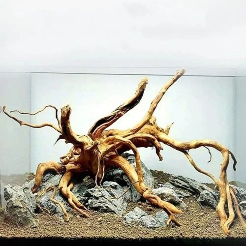 Natural aquarium driftwood - natural,