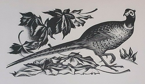 Miller parker cock pheasant - miller,