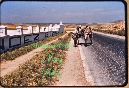 1956 spain cobblestone road - 1956,