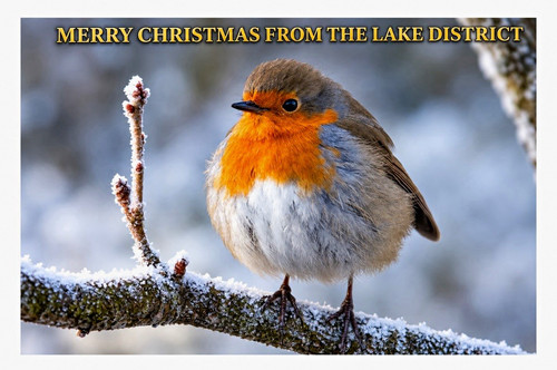 Merry christmas from the - christmas, lake