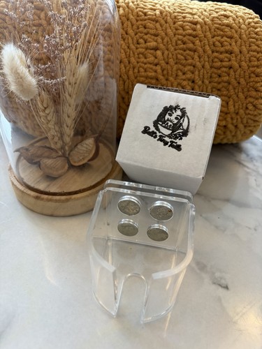 Small animal magnetic - animal,