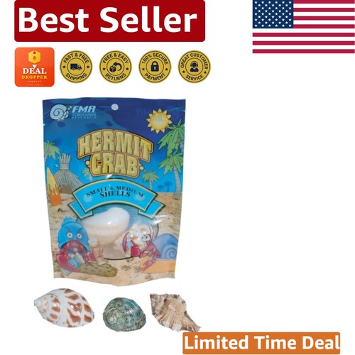 Multicolor medium hermit crab - hermit,