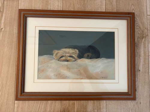 Framed yorkshire terrier dog - terrier,