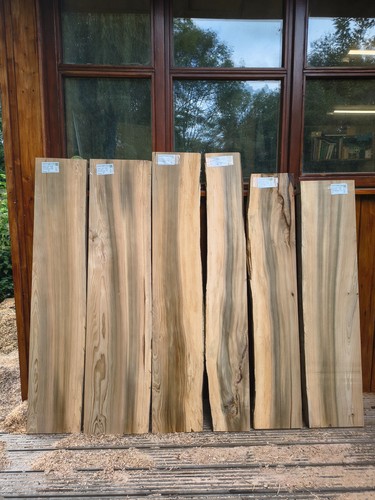 Cedar lebanon air dried - cedar,