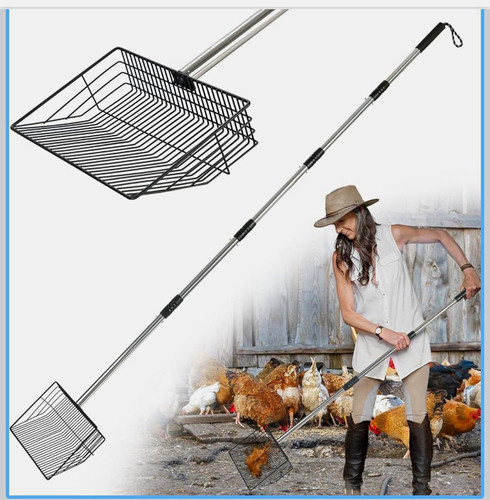 Chicken coop pen cleaning - coop,