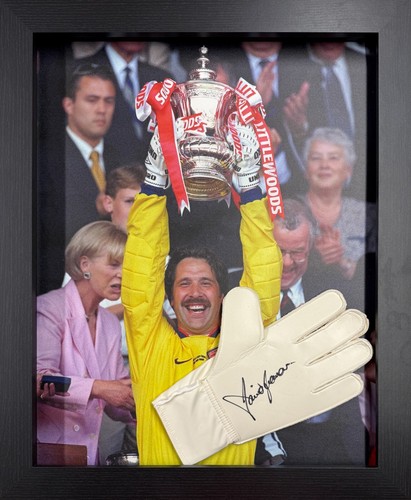 Framed david seaman signed - framed,