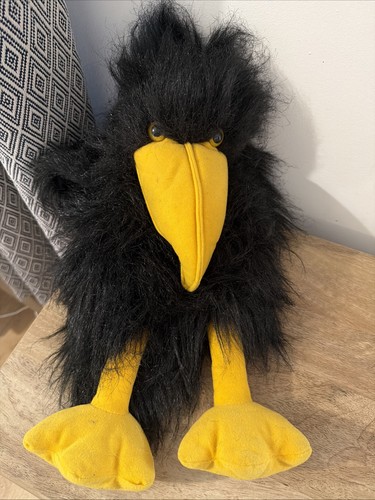Black crow bird the - black,