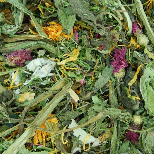 Flower herb salad for - salad,