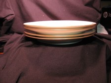 Haviland Limoges Schleiger 780