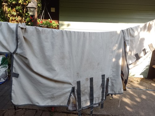 Sweetitch fly rug - 6’6,