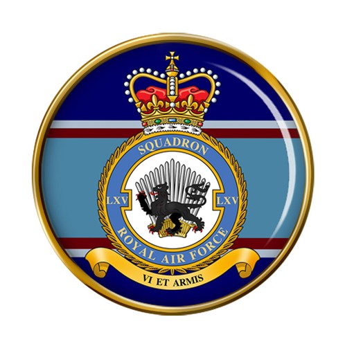 Squadron raf pin badge - raf,