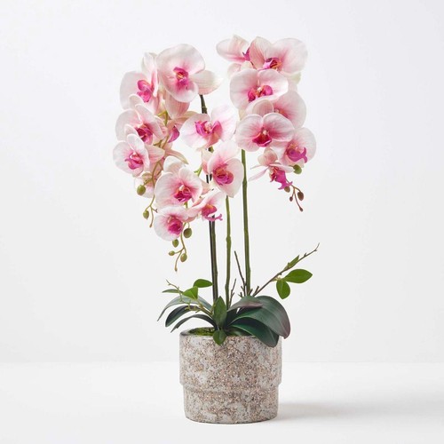Artificial orchid 64cm - 64cm, tall