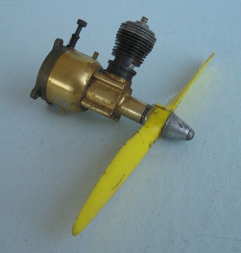 Cox golden bee 049 - bee, model