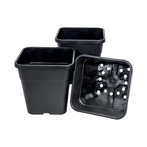Garland square mini tomato - square,